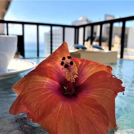 Apartment Salute To The Sea *