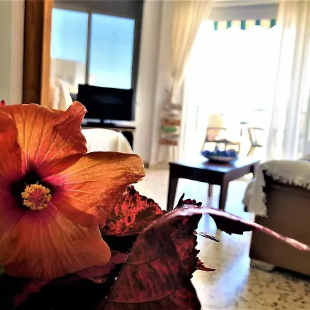 Apartment Salute To The Sea Nerja