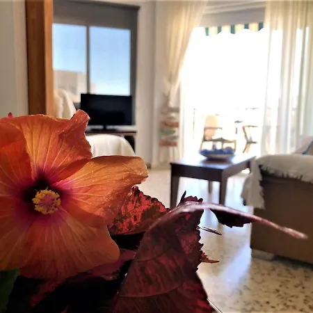 Appartement Salute To The Sea