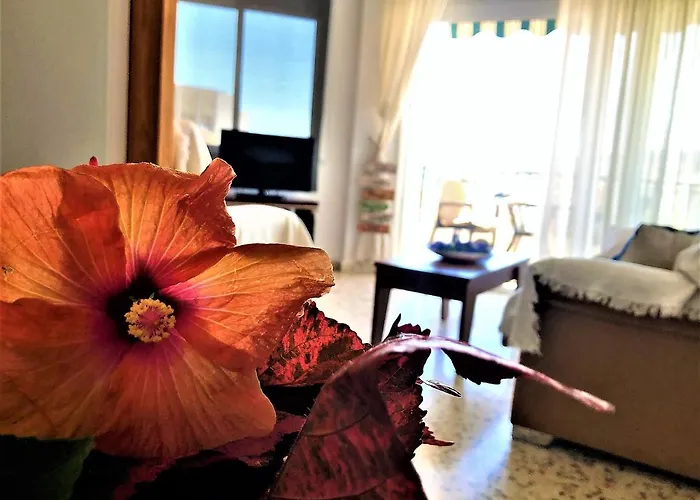 Apartman Salute To The Sea Nerja