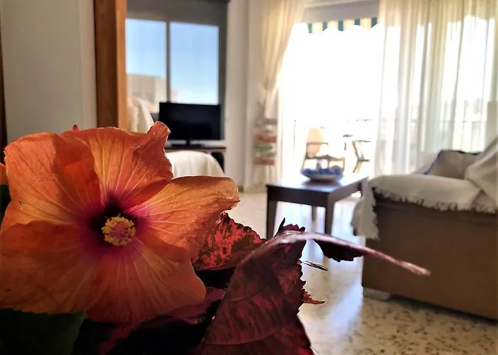 Apartman Salute To The Sea