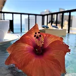 Appartement Salute To The Sea *